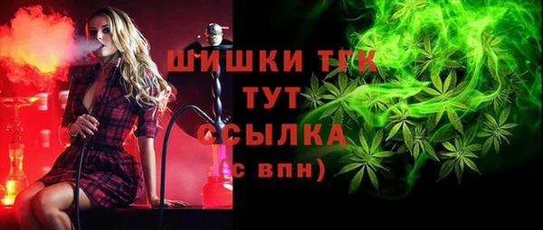 шишки Киреевск