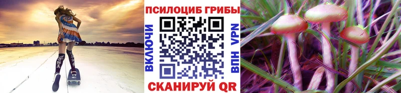 Галлюциногенные грибы Psilocybine cubensis  Купить где  Бирск 